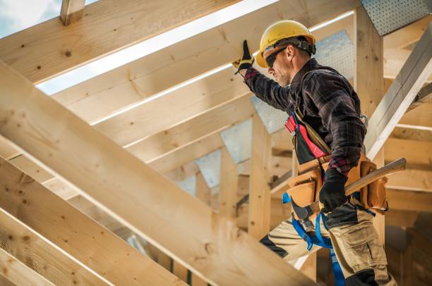 Best Roof Gutter Cleaning  in Mountain Lake, MN