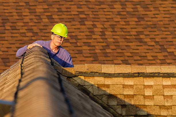 Professional Roofing Contractor in Mountain Lake, MN